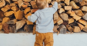 дрова всех пород дерева.