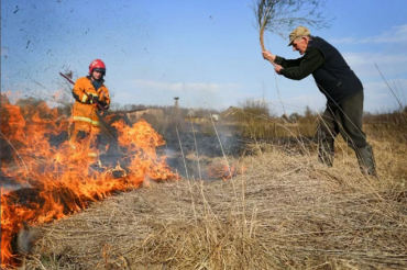 Весенние пожары - беда экосистемы