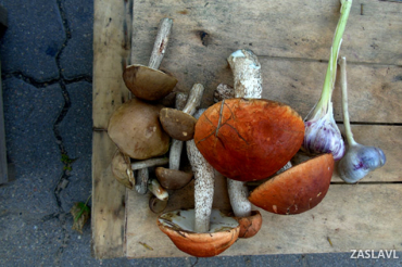 В Заславле на рынке появились грибы. Сезон открыт? 