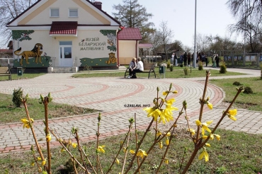 «Сілуэты спадчыны». Как в Заславле прошло открытие фотовыставки Владимира Цвирко