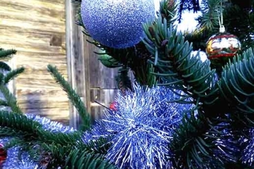 21 декабря в Заславле зажжётся новогодняя иллюминация на ёлке и пройдёт Фестиваль светящихся шаров